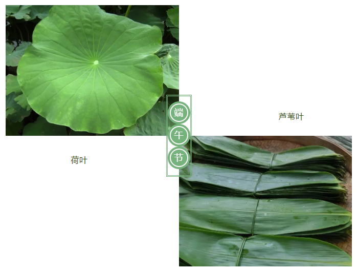 小勐拉99厅医纺