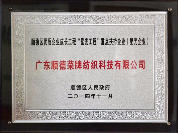 小勐拉99厅-2012年获顺德政府颁发“星光企业”称号